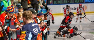 Här spelar Åker/Strängnäs hockey-knattar – inför 8 000 åskådare