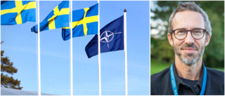 Nato på Gotlandsbesök – ska titta på öns försvar