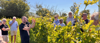 Gotlands Gille besökte Långmyre vineri