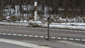 Två viltolyckor i Skellefteå: ”Många rådjur på vägarna”
