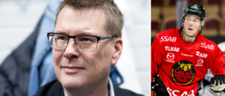 Domarbasens sågning av Luleå Hockey: "Det spär på domarhatet"