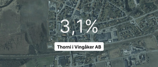 Intäkterna fortsätter växa för Thorni i Vingåker AB