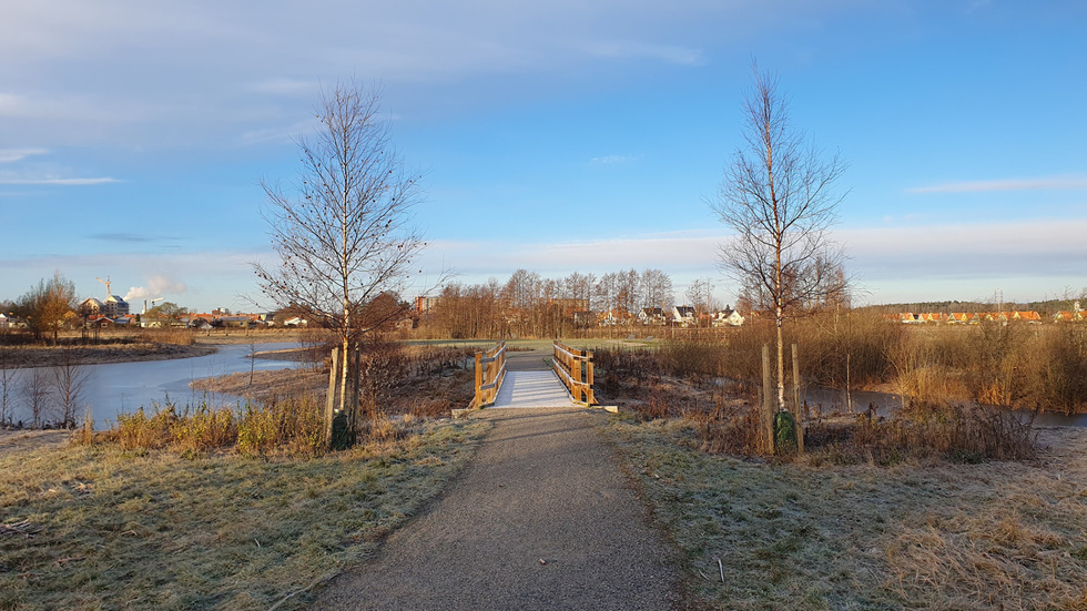 Balsta våtmark i Eskilstuna i morgonfrostig skrud. Arkivbild.
