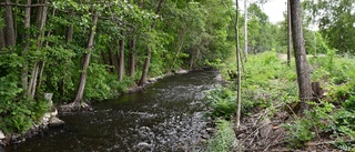 400 miljoner till vattenprojekt – östgötska åar ska restaureras