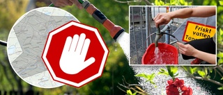JUST NU: Läckor bakom bevattningsförbudet i Skellefteå med omnejd