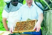 Biodling  
- ett samspel med naturen