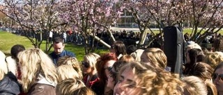 2 500 "Idol"-wannabes köade i Malmö