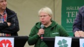 Centerpartiet rasar i opinionen – kan tappa ett mandat ■ Linda Modig (C): "Överensstämmer inte med känslan från valkampanjen"