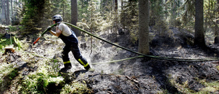 Skogsbrand i Borensberg