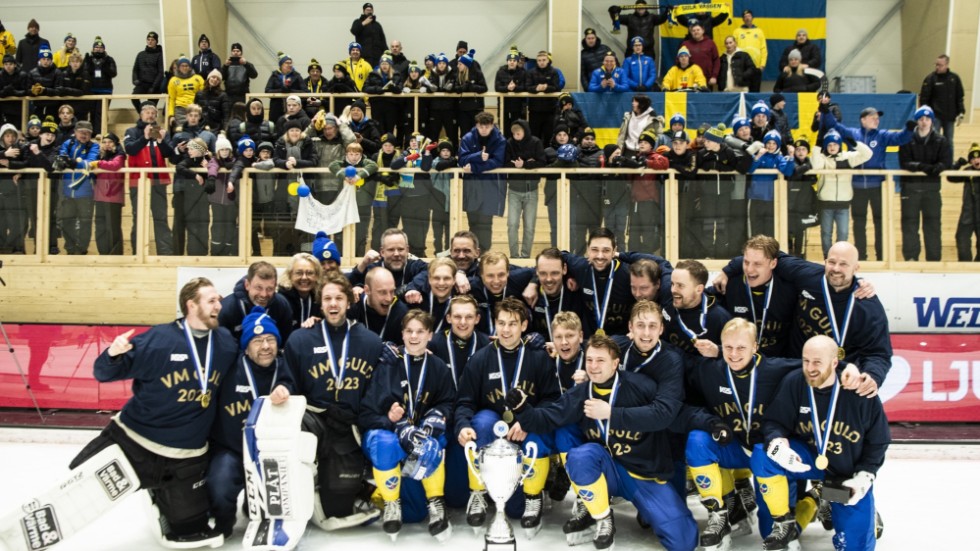 Sveriges herrar jublar framför fansen efter finalen som gav guld i Åby, utanför Växjö.