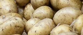 Outinens potatis världsklass