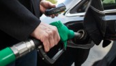 Regeringen behöver inte skämmas för klimatpolitiken