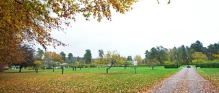 Cloettas ägare vill ha villor i Trädgården