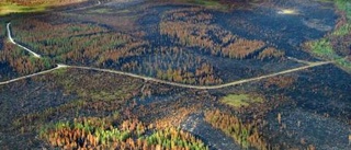 Två år efter branden - nu återvänder livet