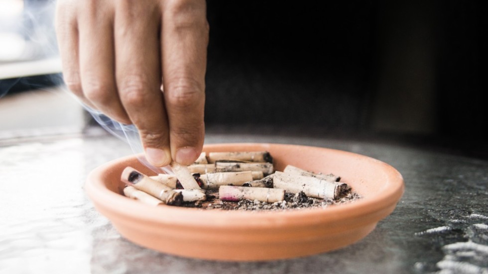 Fimpa den nya tobakslagen, skriver Joline Göttfert, distriktsordförande MUF Västerbotten.