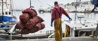 Brexitförhandlingarna kan sänkas av fisket