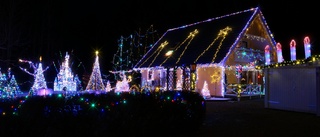 Galna julsatsningen – han har 32 000 lampor på tomten