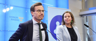 Habtemichael: Öppenheten tjänar Sverige väl           