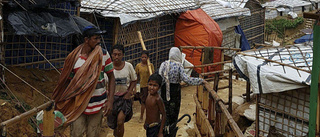 Bangladesh vill inte ta emot båtflyktingar