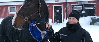 Gelato lunchtvåa på Bergsåker: ”Han är säker”