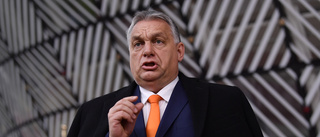Orbán-utfall mot "HBTQ-galenskap"