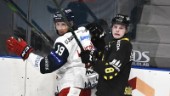 NHL-lån får vara kvar i hockeyallsvenskan