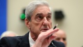 Mueller: Stone är en brottsling