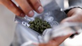 Polisen kände stark doft av cannabis - två kunde gripas