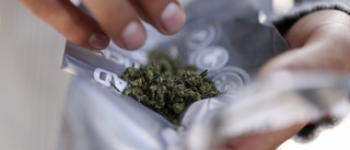 Polis hittade cannabis i Vimmerbybostad