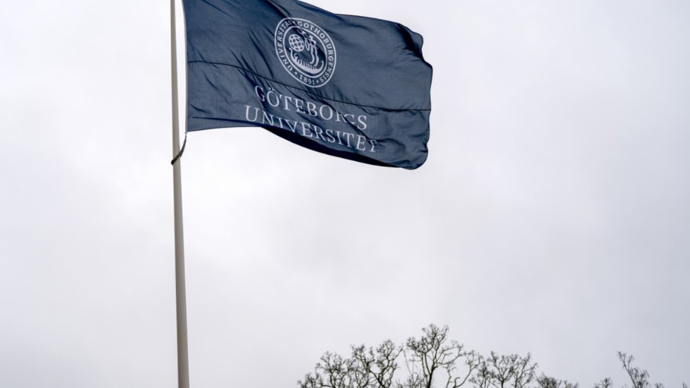 Undersökningen görs varje år sedan 2015 vid Göteborgs universitet. Arkivbild.