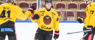 Luleå Hockey lånar ut talang till Hockeyettanklubb