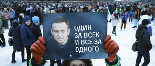 "Navalnyj har hittat ett sätt att störa makten"