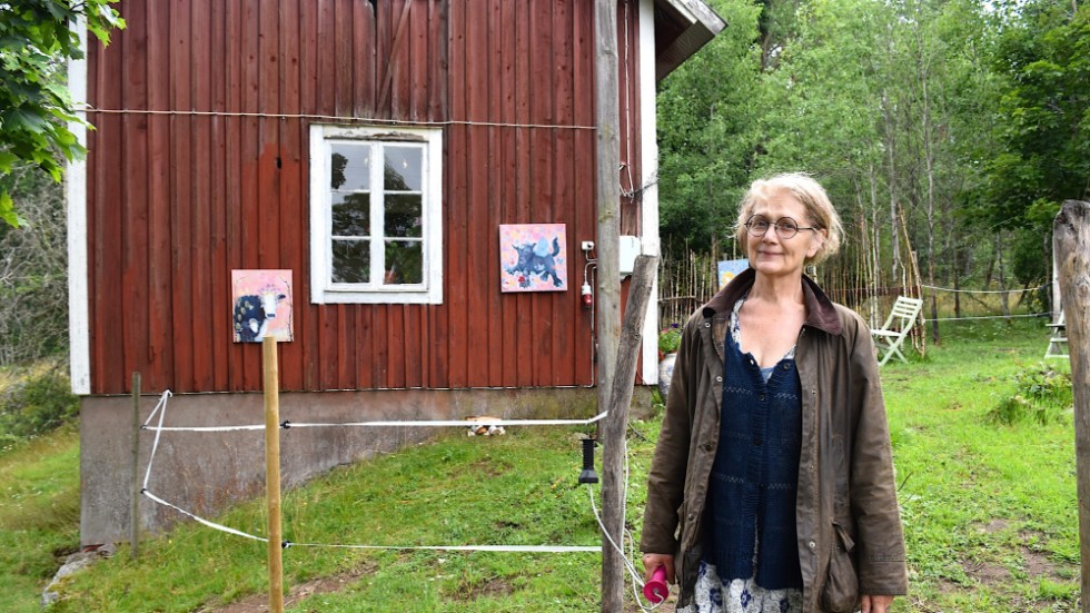 Konstnären Catharina Johansson Ek framför utställningen i Fnyrfalls Bodgalleri.