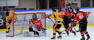 De får plats i Luleå Hockeys juniorlag