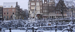 Snöstorm lamslår Nederländerna