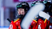 Luleå Hockey/MSSK körde över jumbon på hemmaplan