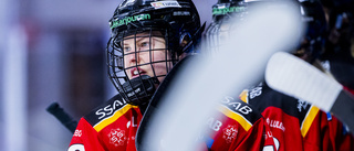 Luleå Hockey/MSSK körde över jumbon på hemmaplan
