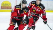 Avslöjar: Hjälten nära förlängning med Luleå Hockey