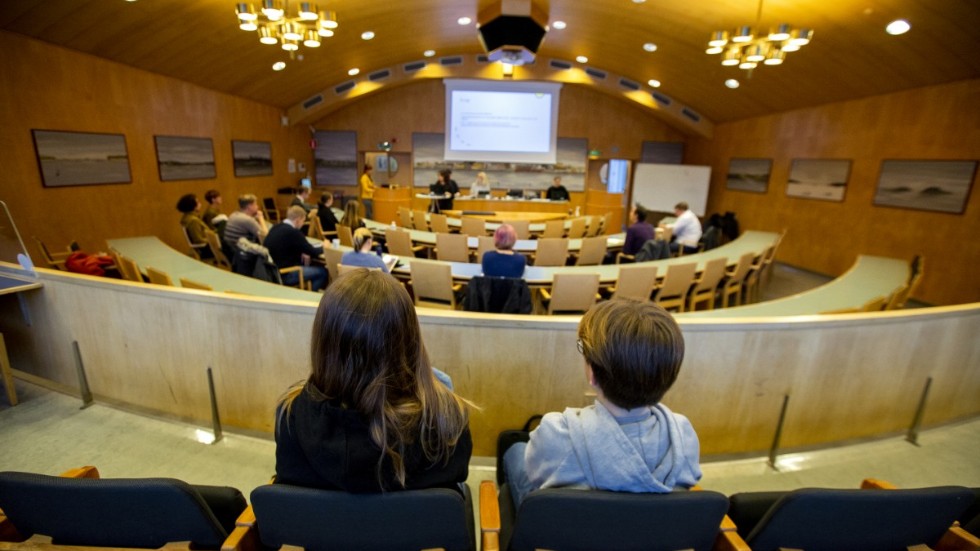 Medlemsorganisationer för olika intressegrupper får agera representant för stora grupper.