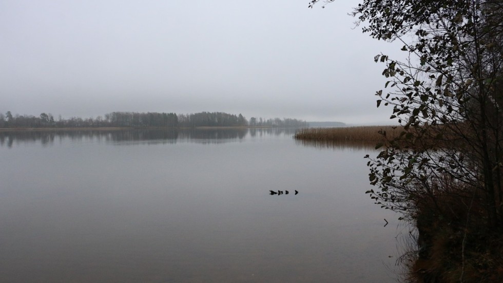 Sjön Hulingen visar kanske inte sin bästa sida nu i november. Men alla årstider har sin tjusning. Nu vill kommunen skapa bostäder med den här utsikten.