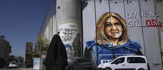 Israel: Journalist sköts "troligtvis" av oss