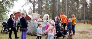 Djuriskt kul dag på Grans