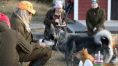 Vill se fler kvinnliga jägare i skogen