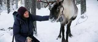 Kylig och stämningsfull julmarknad