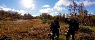 Färre sålda jaktkort inför ripjakten