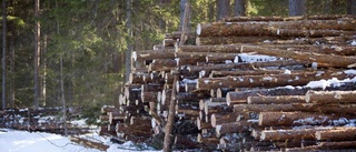 Extrem vinter för skogsföretagarna