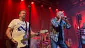 Utsålt när punklegendarerna gav järnet i Visby – ”I den låten var de som allra bäst”