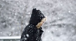 Är du redo? Nu kommer första snön – mellan fem och tio centimeter väntas i Östergötland