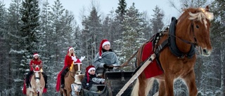 Delar ut julklapparna med häst och släde