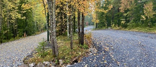 Storsatsningen på Ormberget närmar sig avgörande skede